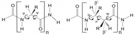 Alfa-aminosavak, béta-aminosavak