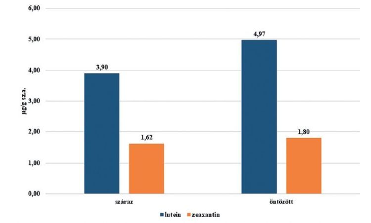 8. ábra. Az öntözés hatása a lutein- és zeaxantintartalomra (Debrecen-Látókép, 2022)