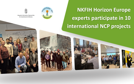 Knowledge Pathways – NCP projects