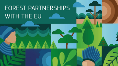 FOREST partnerships